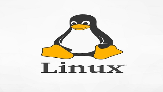 LinuxWindowsʱ䲻һ