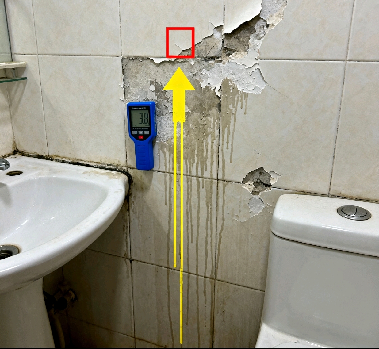 Screenshot_2025-09-21-02-25-56-998_com.larus.nova-edit