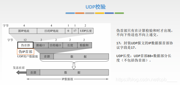 TCP和UDP的报文格式