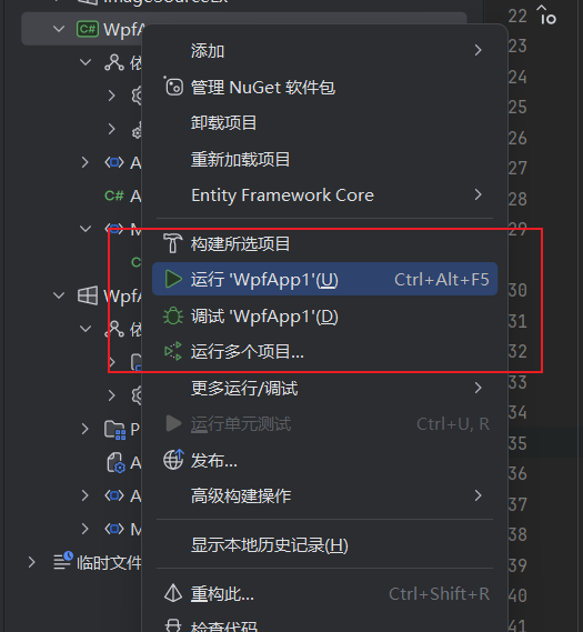 初次使用 Jetbrains Rider 编写 C#（.Net） 代码