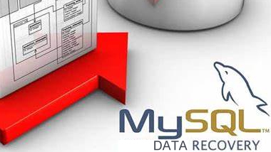 数据库数据恢复—MYSQL数据库MYD文件损坏的数据恢复案例