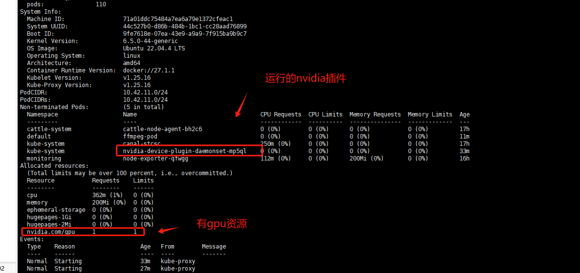 Docker和K8S集群调用GPU