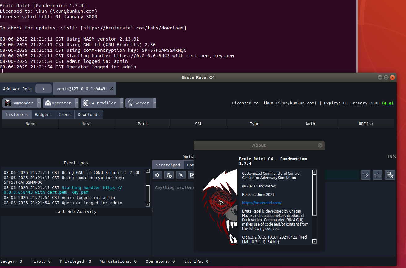 image-20250806212314232