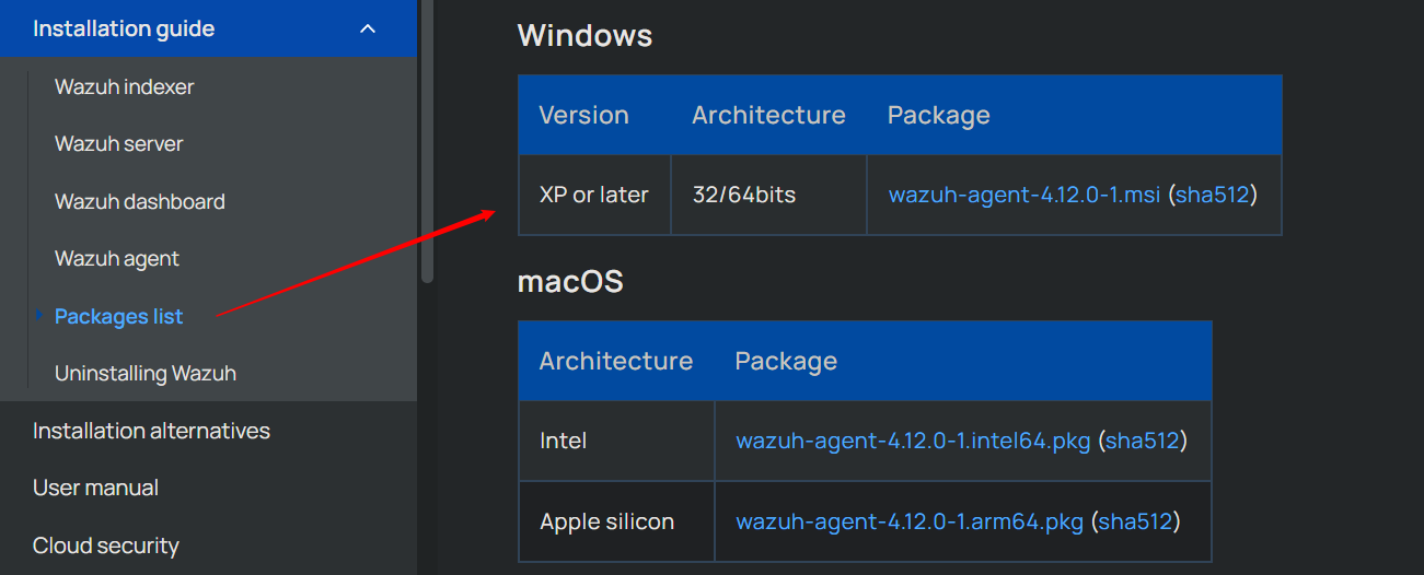 windows 客户端