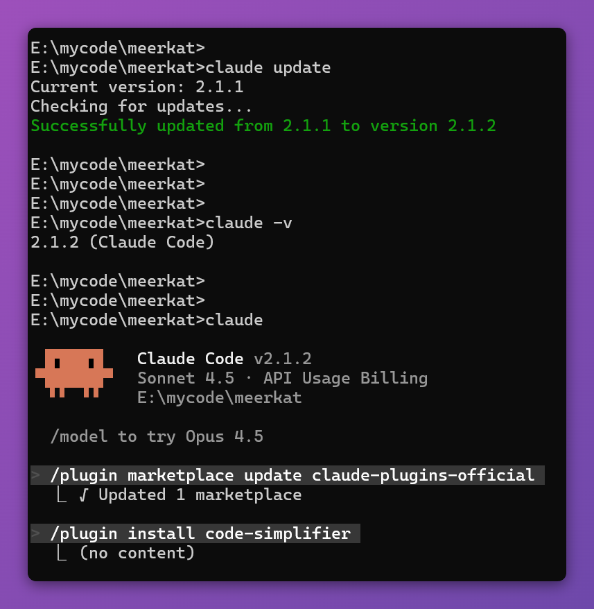 assets/code-simplifier agent/file-20260110071348633.png