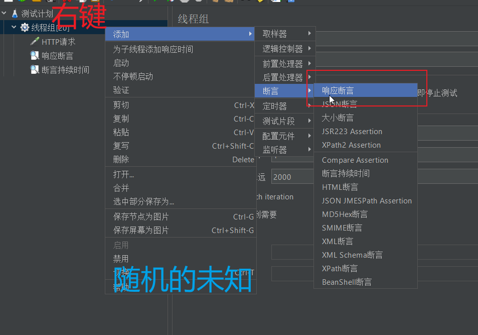 配置断言