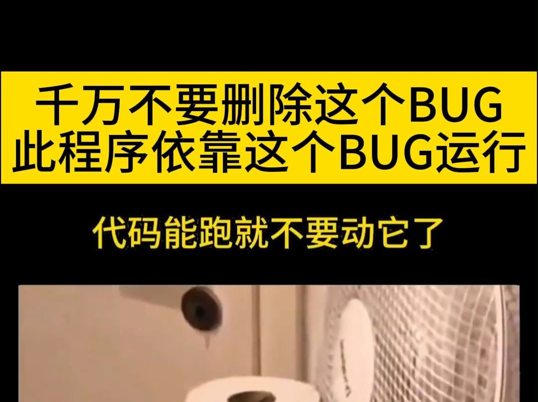 软件bug