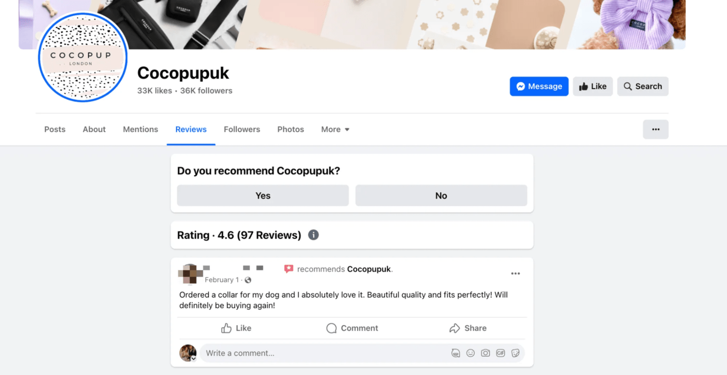 Cocopupuk的Facebook页面