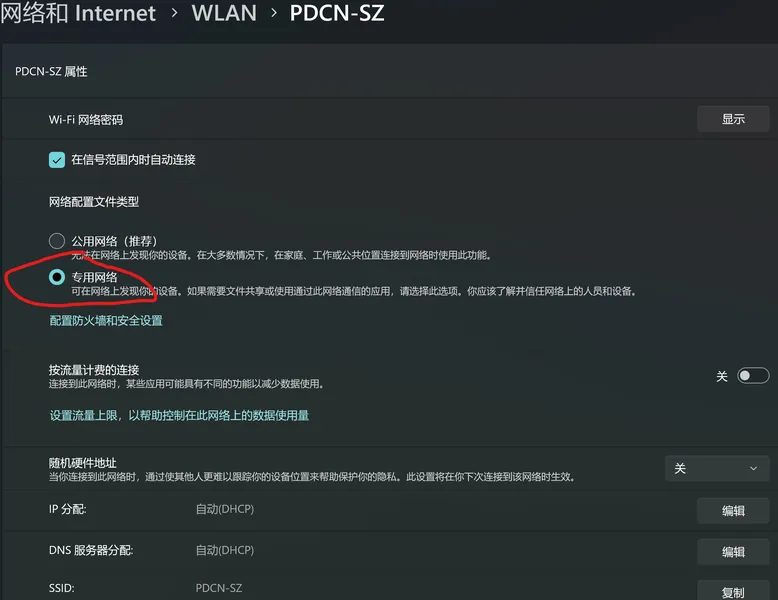 专用网络设置