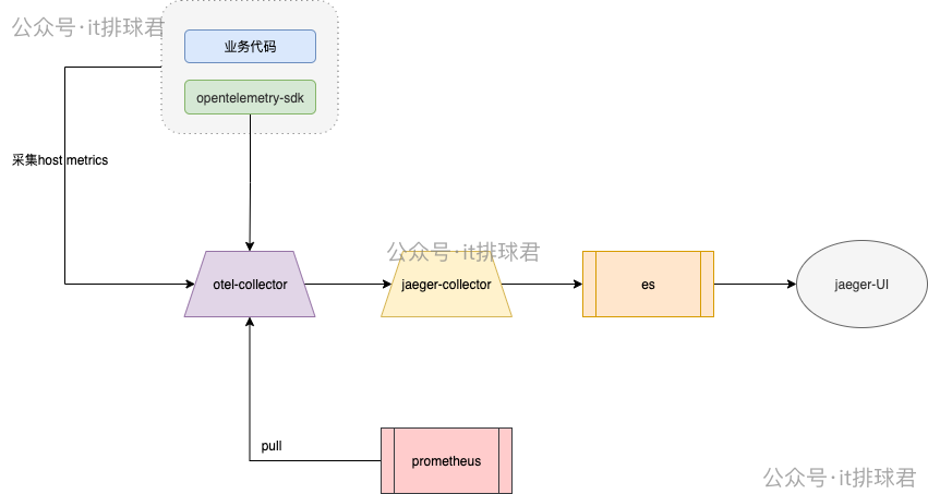 watermarked-collector_4