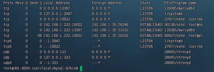 Debian 11 离线安装MySql记录