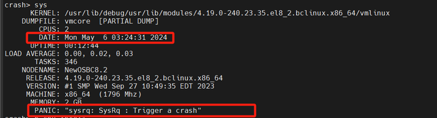 Linux基础——BClinux8.2 排查vmcore异常宕机问题