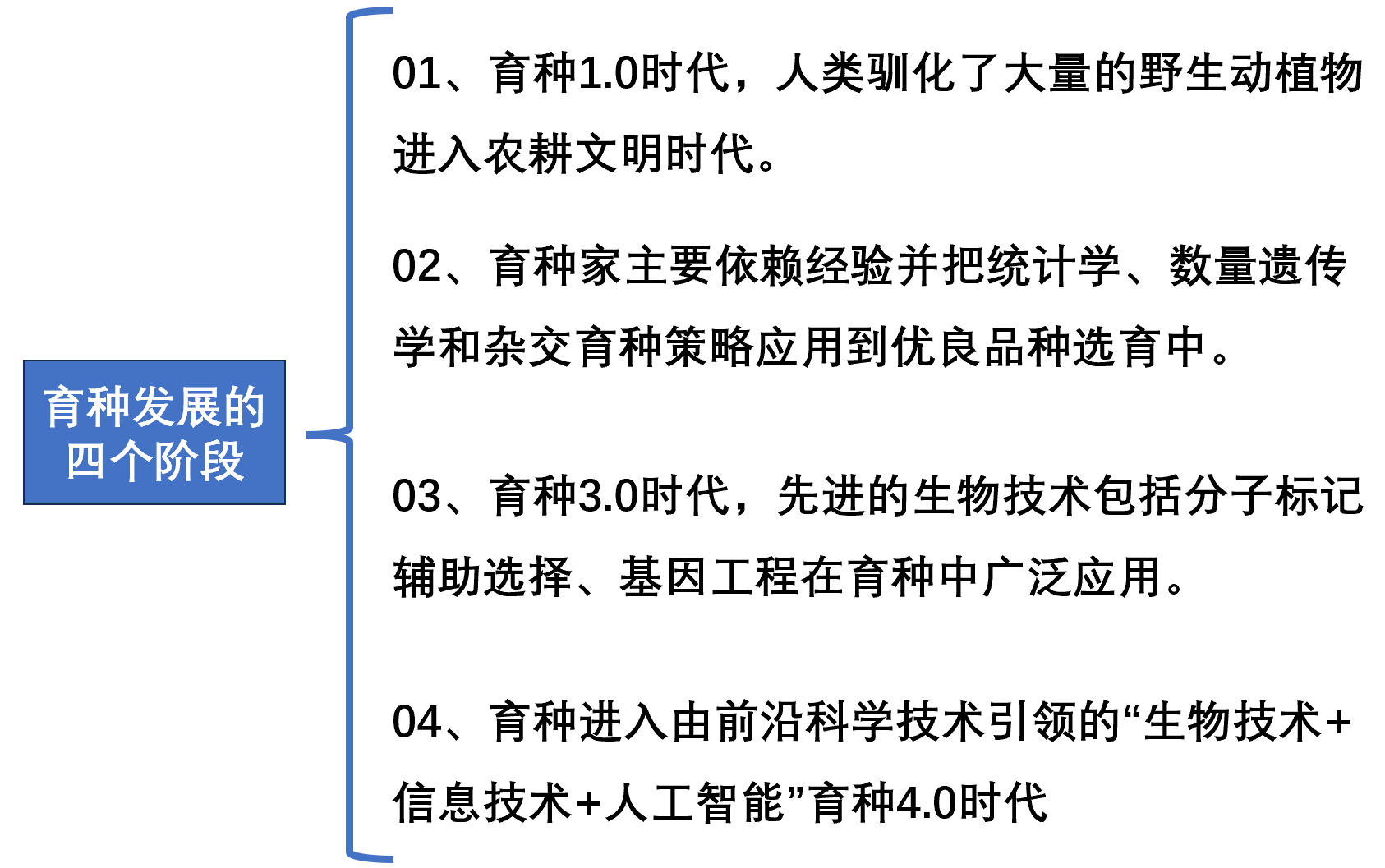 育种技术发展的四个阶段