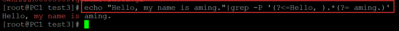 Linux 中  grep -P 选项 perl正则 限制两侧进行匹配