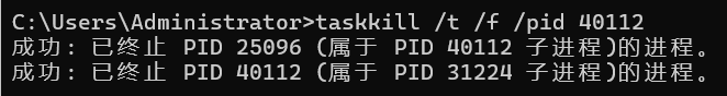netstat  tasklist taskkill配合使用