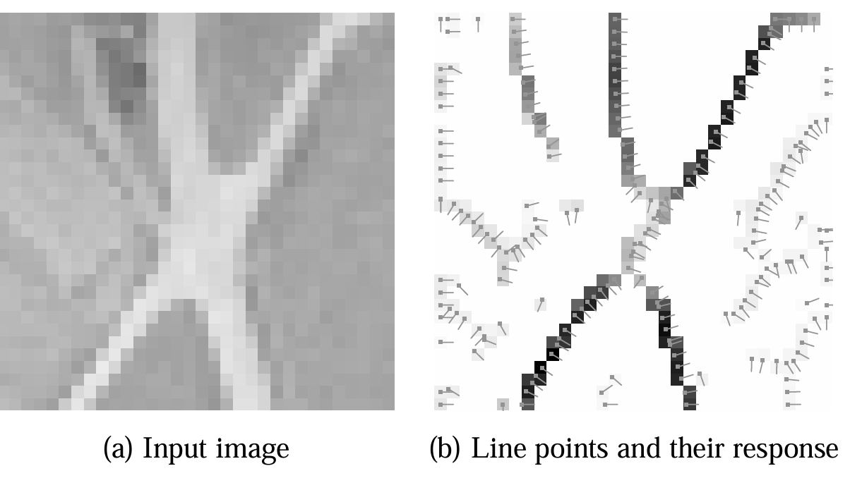 An Unbiased Detector of Curvilinear Structures