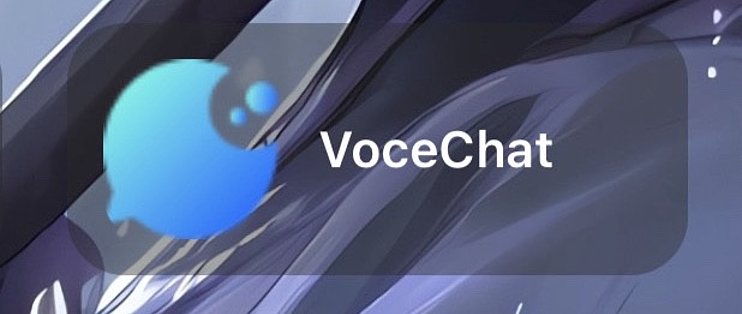 VoceChat - 发现私有云社交的魅力