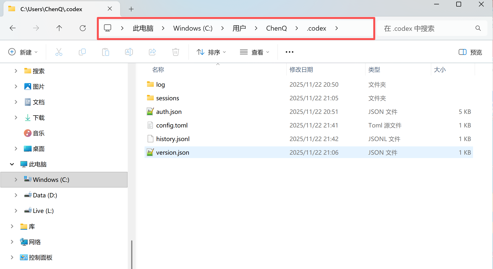 image-20251123171033840