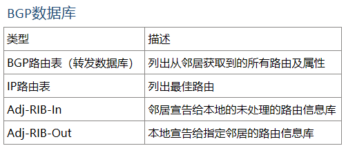 BGP報文結構&型別、狀態