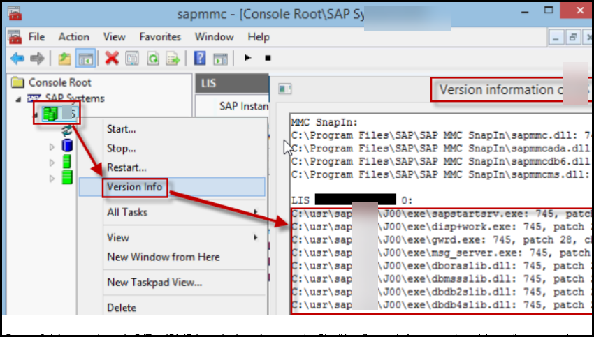 sap mmc.png