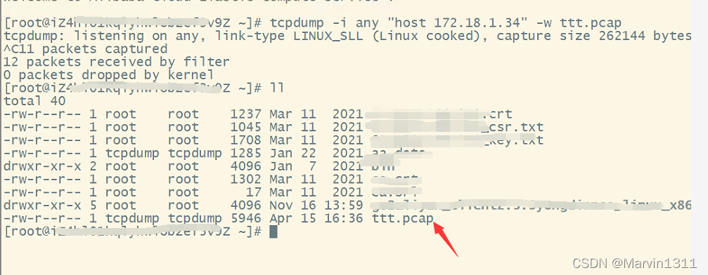 Linux系统停止抓包