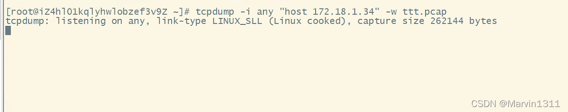Linux系统抓包命令执行