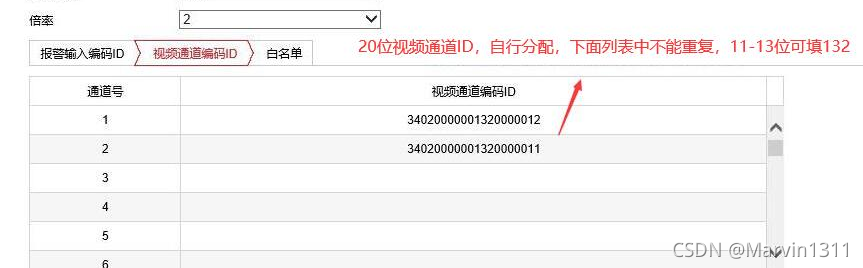 视频通道编码配置