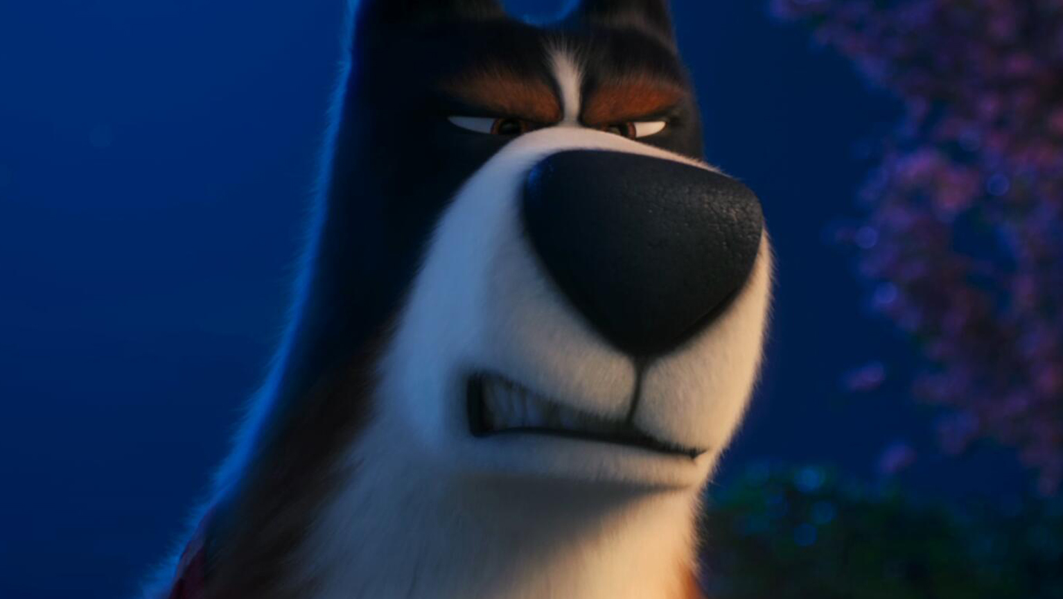 轻松的工作（deepseek）