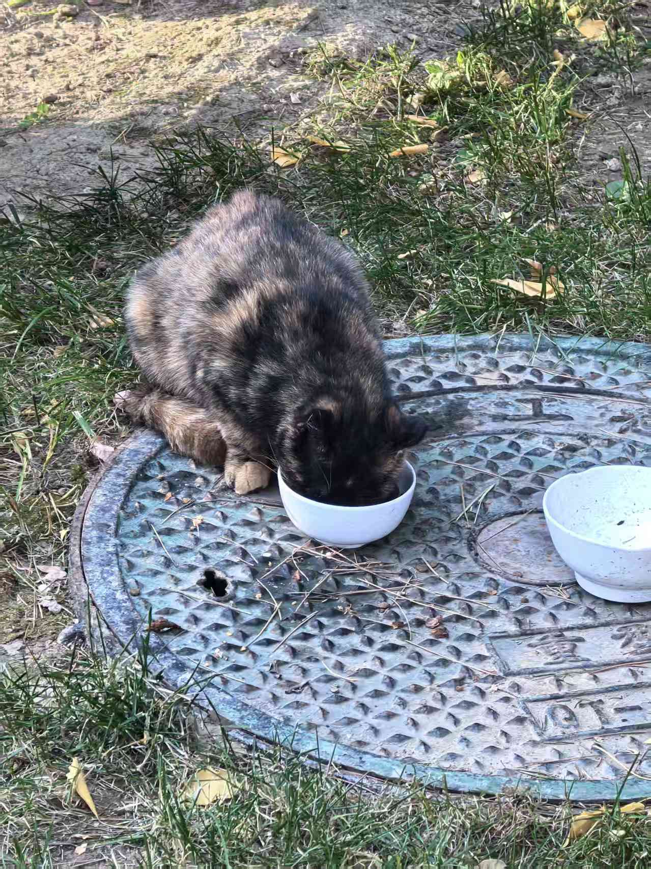 2eed02998d719e6425afd698c1c9dddf