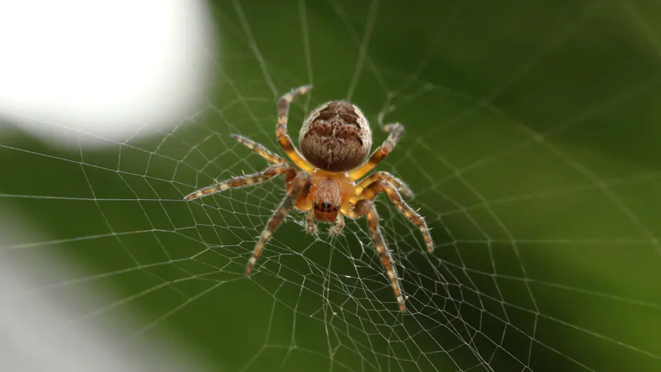 【迁移】NGA论坛IP数据爬虫及分析