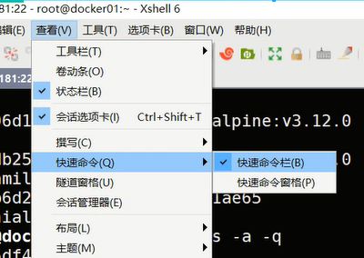 docker阶段01 容器化概述, Docker介绍, 安装, 镜像特性和操作, 容器操作