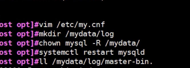 image-20201130172146318