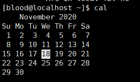 image-20201118101621723