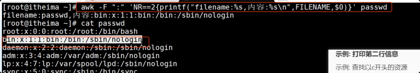 image-20250723202837839