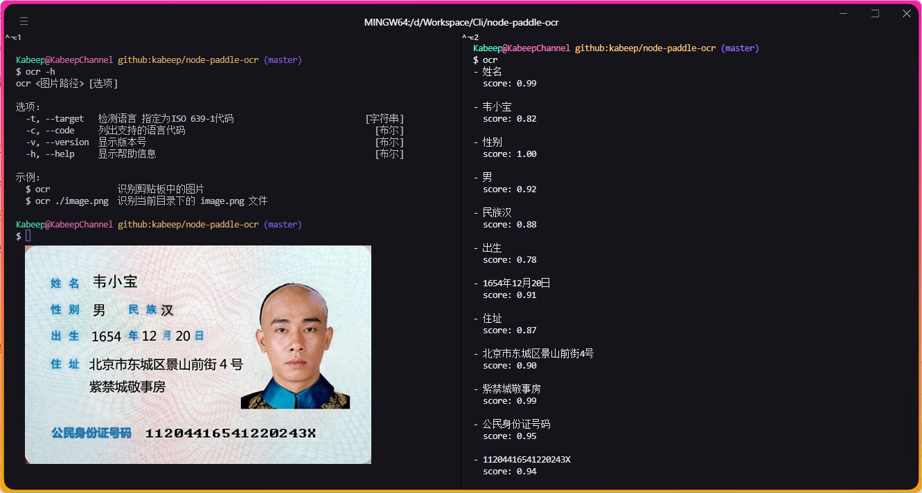 Terminal Screenshot (kabeep/node-paddle-cli)