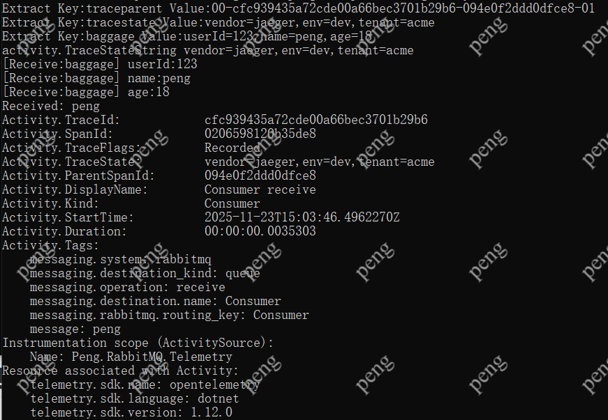 image-20251123231417261