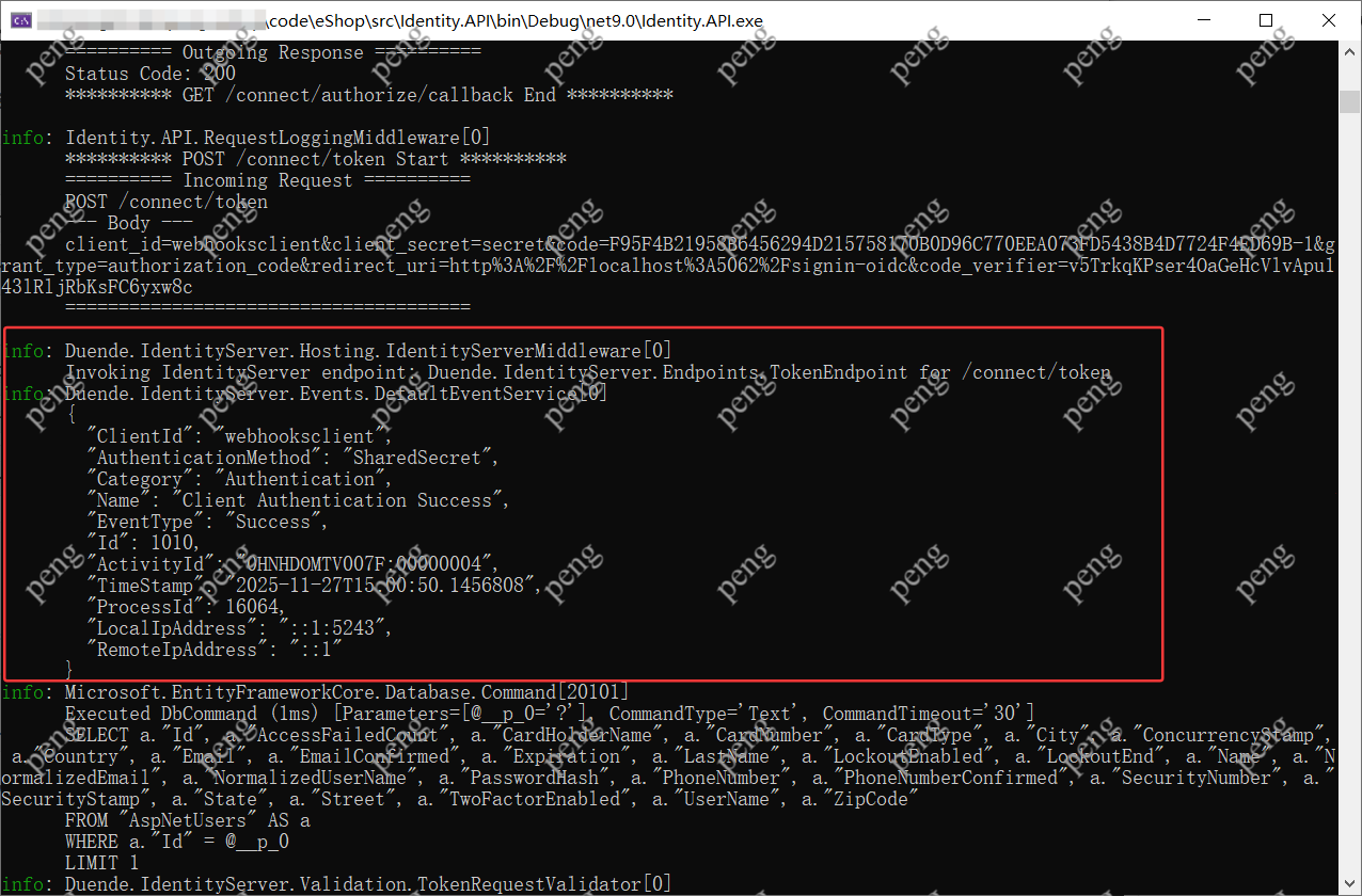 image-20251127232938992