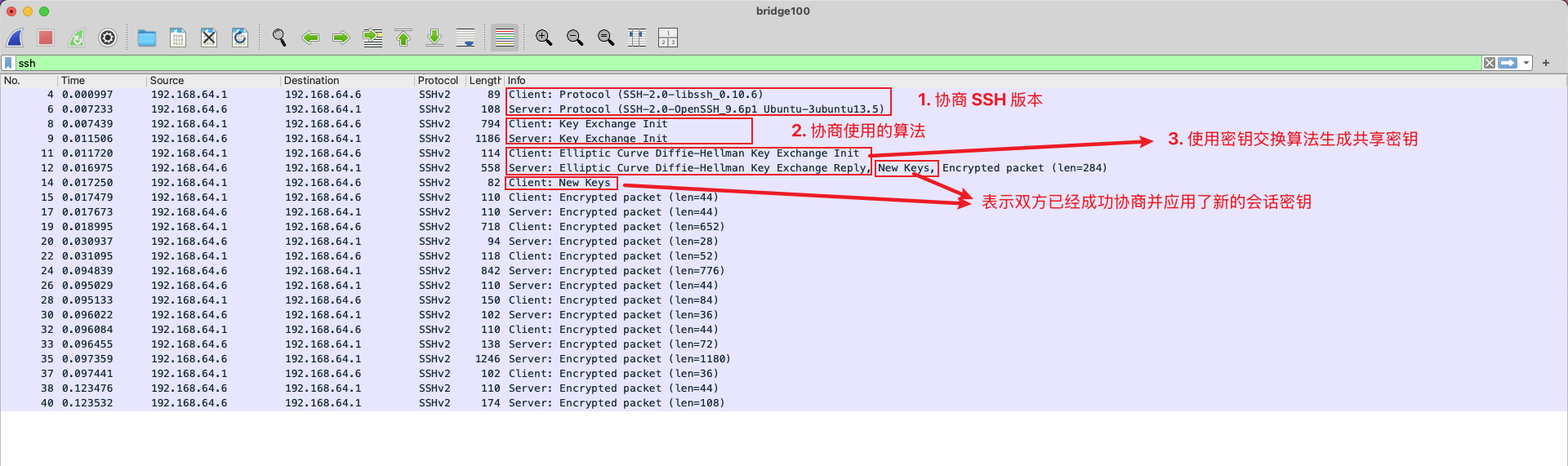 重拾 SSH：从基础到安全加固