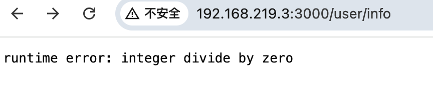 go fiber:發生內部錯誤時統一返回json格式