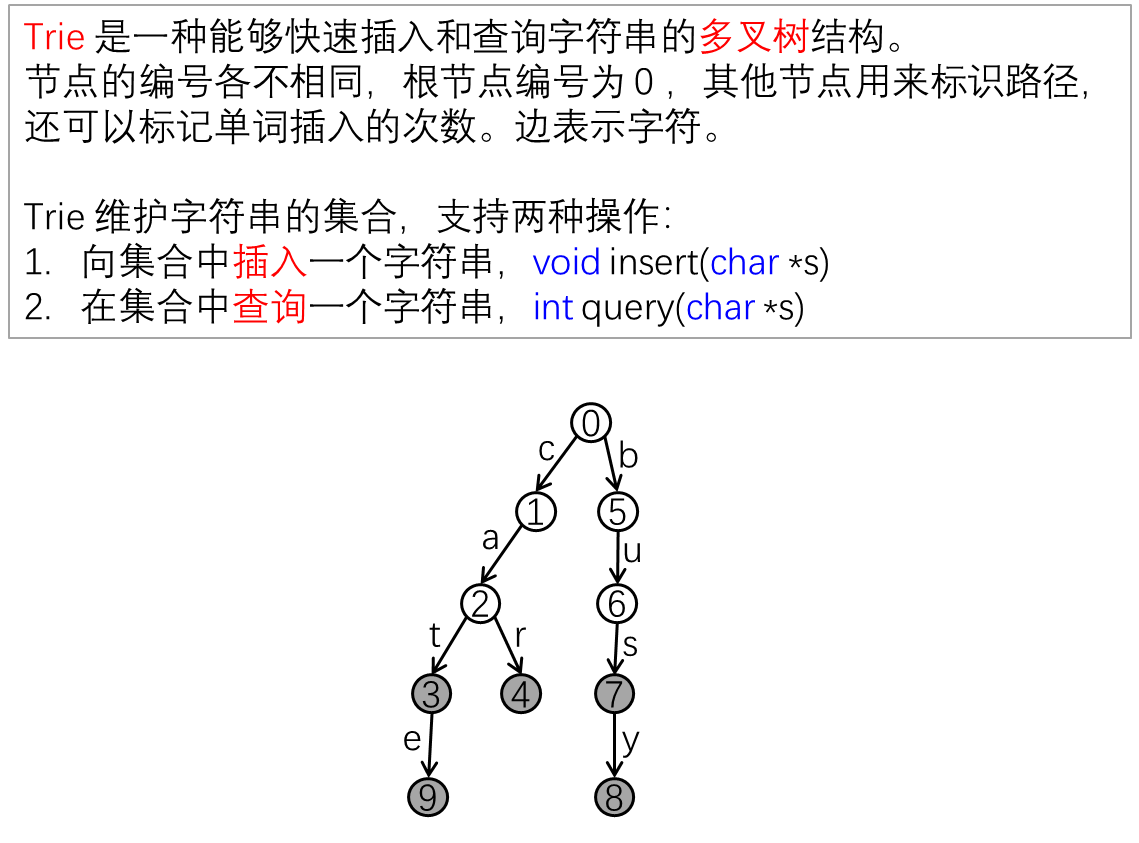 「Day-2 提高笔记-字典树」