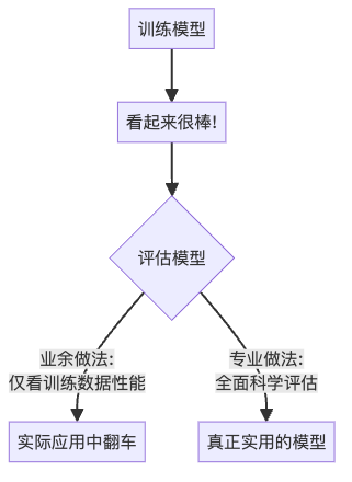 图1: 业余与专业AI实践者在模型评估中的关键区别