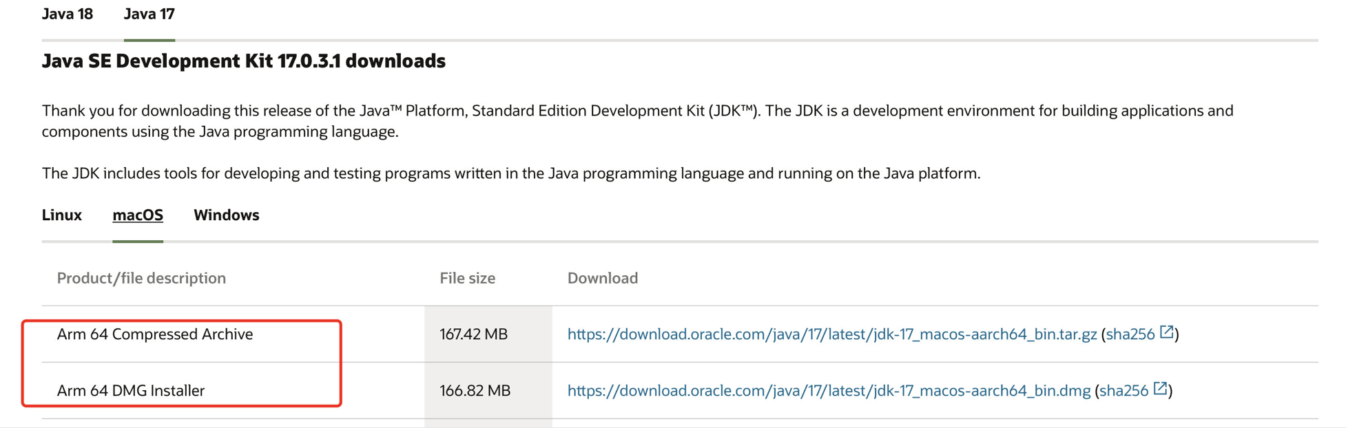 image-20230306174844769