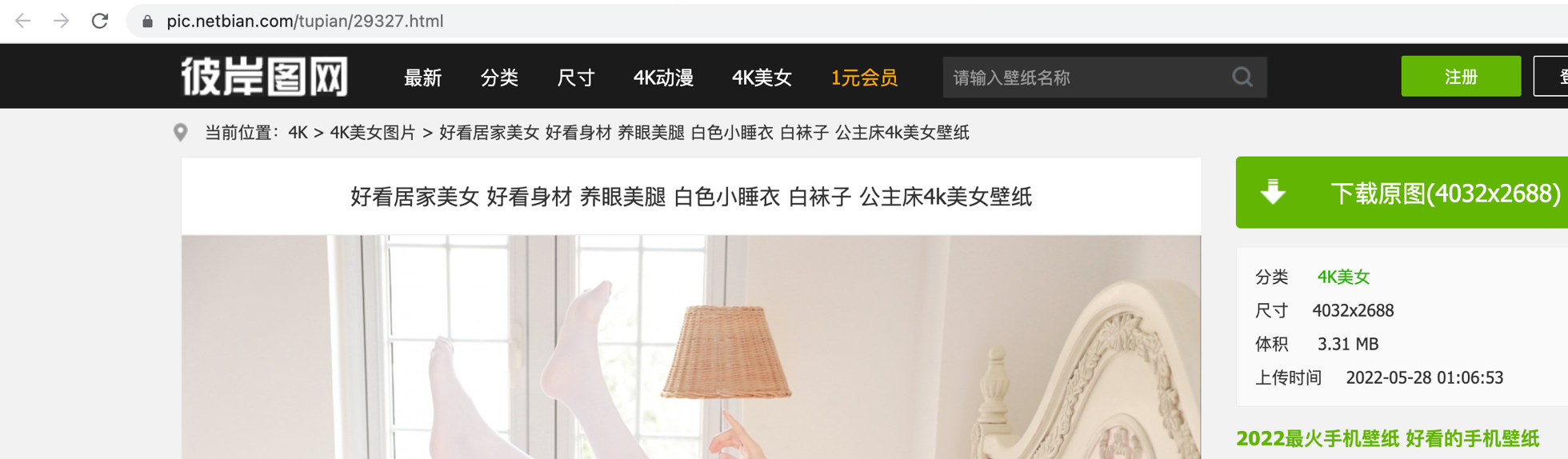 image-20230306180458933