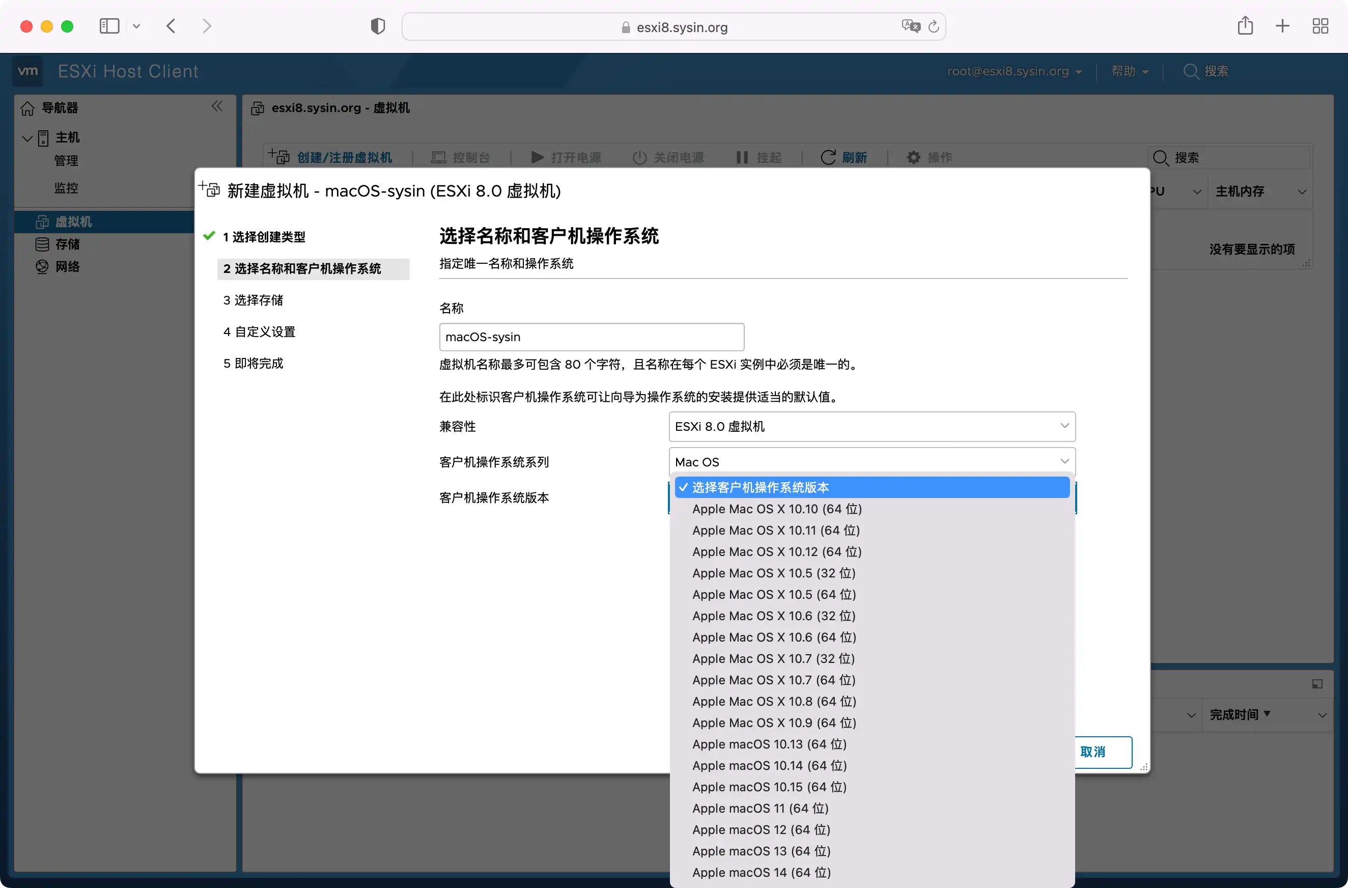 New VM in ESXi 8