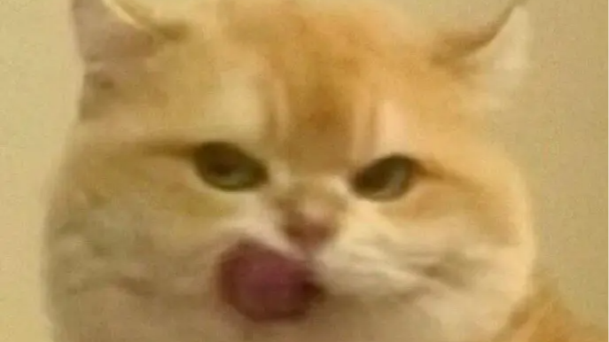 0.1加0.2为什么不等于0.3