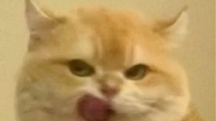 微信朋友圈图片布局