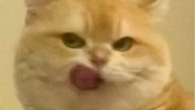 关于地图渲染加20w数据展示和地图动画怎么做