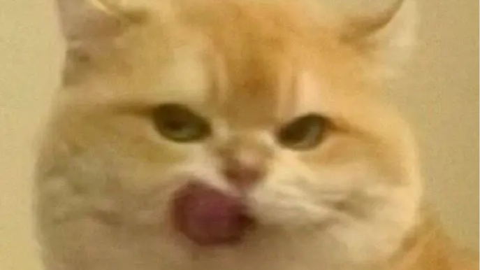 面试官：如何解决按钮重复点击？这个问题挂了80%的人！