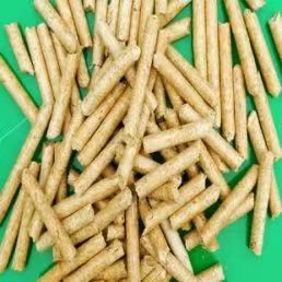 F56162CFE00CE953401D567EF87B3ACE