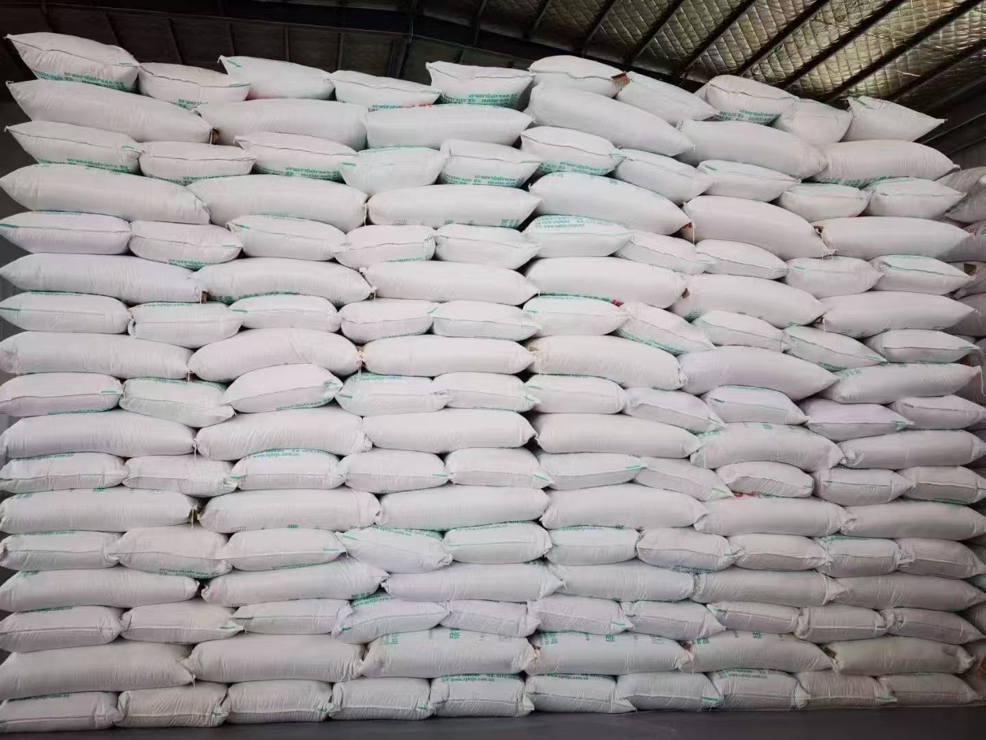 396A0C74E404C830E2D9373FD00D6987